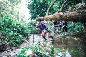 BIB: 
                            <button type="button" onclick="openModal(25452019)" class="btn btn-primary btn-sm float-right btn-popup" data-toggle="modal" data-target=".modal-high-quality">
                        <i class="fas fa-shopping-cart"></i> Add to Cart
                    </button>
                                            <button type="button" onclick="isThisMe(25452019, true)" class="btn btn-success btn-sm float-right btn-popup btn-isme hidden" data-toggle="tooltip" data-placement="bottom" title="นี่คือรูปของคุณใช่ไหม คลิกที่นี่เพื่อเอาเข้าอัลบั้ม">
                        <i class="fas fa-plus"></i> Add to album
                    </button>
                    <button type="button" onclick="isThisMe(25452019, false)" class="btn btn-warning btn-sm float-right btn-popup btn-isnotme hidden">
                        <i class="fas fa-ban"></i> Remove from album
                    </button>